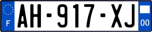 AH-917-XJ