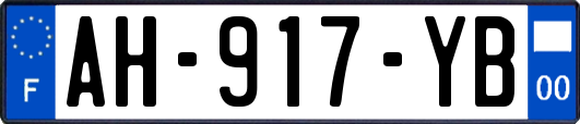 AH-917-YB