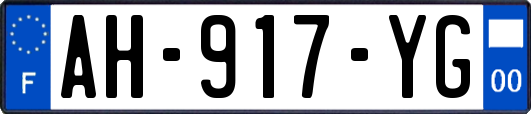 AH-917-YG