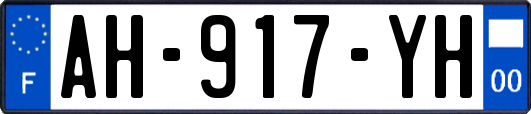 AH-917-YH