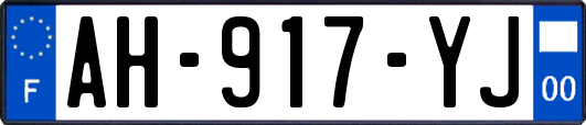 AH-917-YJ