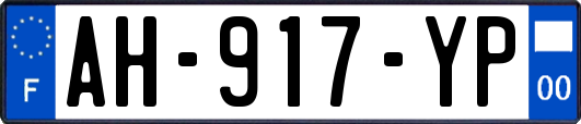 AH-917-YP