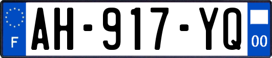 AH-917-YQ