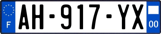 AH-917-YX