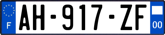 AH-917-ZF