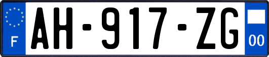 AH-917-ZG