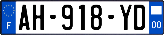 AH-918-YD
