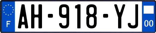 AH-918-YJ