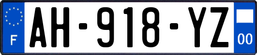 AH-918-YZ