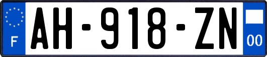 AH-918-ZN