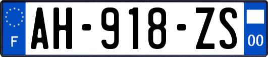 AH-918-ZS