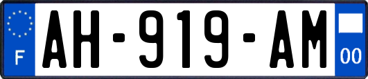 AH-919-AM