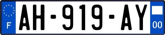 AH-919-AY