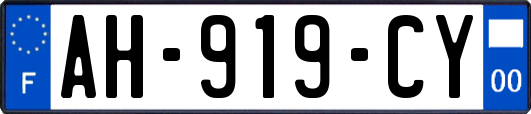 AH-919-CY
