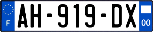 AH-919-DX