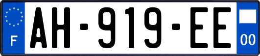 AH-919-EE