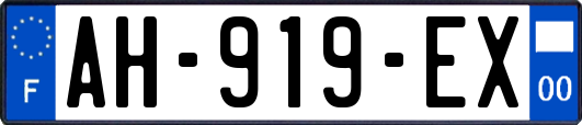AH-919-EX