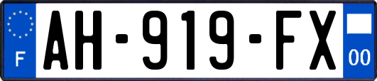 AH-919-FX