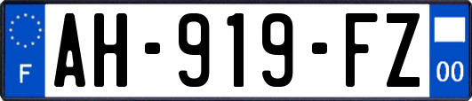 AH-919-FZ