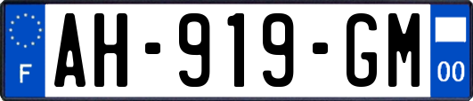 AH-919-GM