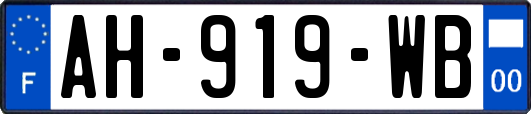 AH-919-WB