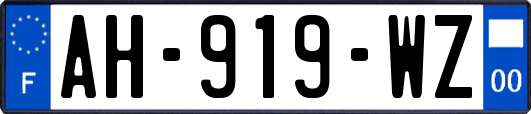 AH-919-WZ