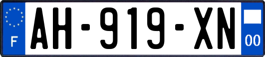 AH-919-XN
