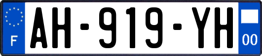 AH-919-YH