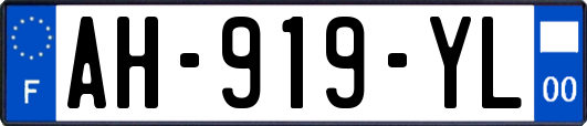 AH-919-YL