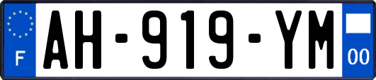 AH-919-YM