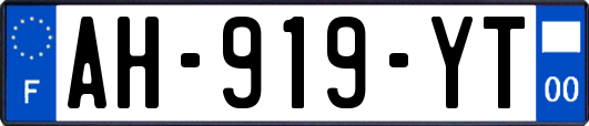 AH-919-YT