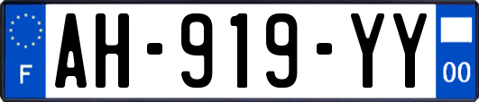 AH-919-YY