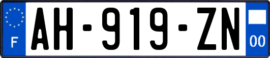 AH-919-ZN