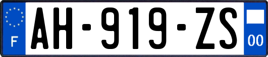 AH-919-ZS