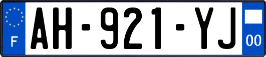 AH-921-YJ