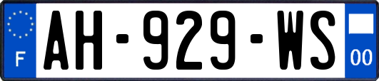 AH-929-WS