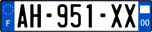 AH-951-XX