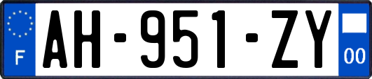 AH-951-ZY
