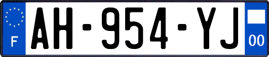 AH-954-YJ