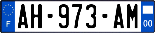 AH-973-AM