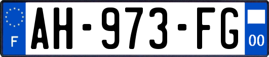 AH-973-FG