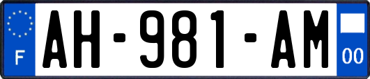 AH-981-AM