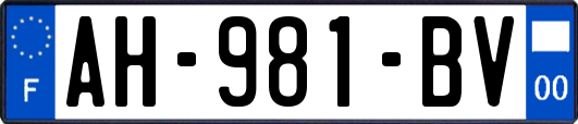 AH-981-BV