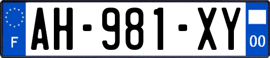 AH-981-XY