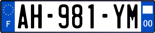 AH-981-YM
