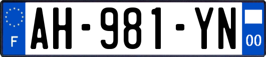 AH-981-YN