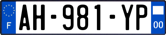 AH-981-YP