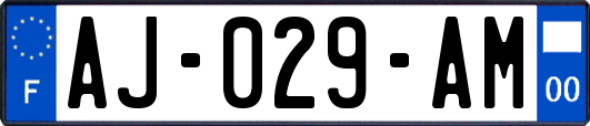 AJ-029-AM