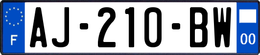 AJ-210-BW