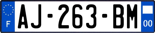 AJ-263-BM